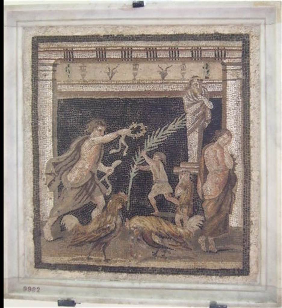 VI.11.10 Pompeii. Found in small room 44, on left side of room 43, on 10th September 1835.  
Mosaic showing a cock fight in the presence of two youths.
Now in Naples Archaeological Museum, inventory number 9982.
See Pagano, M. and Prisciandaro, R., 2006. Studio sulle provenienze degli oggetti rinvenuti negli scavi borbonici del regno di Napoli. Naples: Nicola Longobardi. (p.151), PAH II, 316.
According to Fiorelli in PAH, II, (p.316) –
“10th September 1835. And in the floor of the small room on the left, near to the left corner at the head of the same tablinum, we have discovered a second mosaic, sized 18.16 inches squared (0.46m squared) or in italian “pal. 1 ¾ x 1 ¾” showing two cocks having a quarrel, one being injured, his owner stands dejected, while the owner of the victorious cock happily holds out a wreath/crown, as he is handed a palm leaf.”