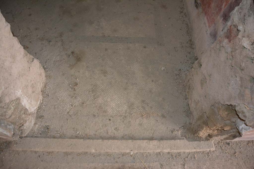 VI.11.10 Pompeii. October 2017. Room 45, doorway threshold.
Foto Annette Haug, ERC Grant 681269 DÉCOR
