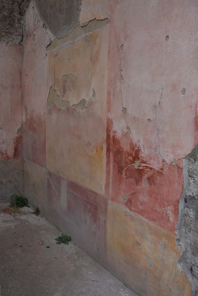 VI.11.10 Pompeii. October 2017. Room 29, looking west along north wall.
Foto Annette Haug, ERC Grant 681269 DÉCOR