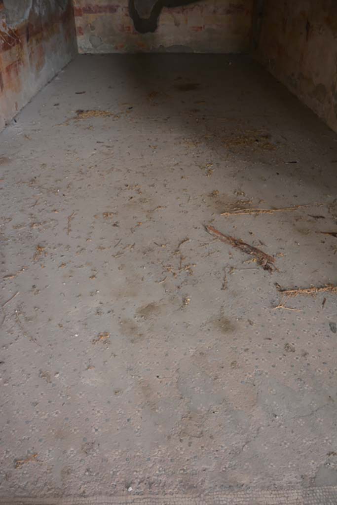 VI.11.10 Pompeii. October 2017. Room 39, looking north across flooring. 
Foto Annette Haug, ERC Grant 681269 DÉCOR