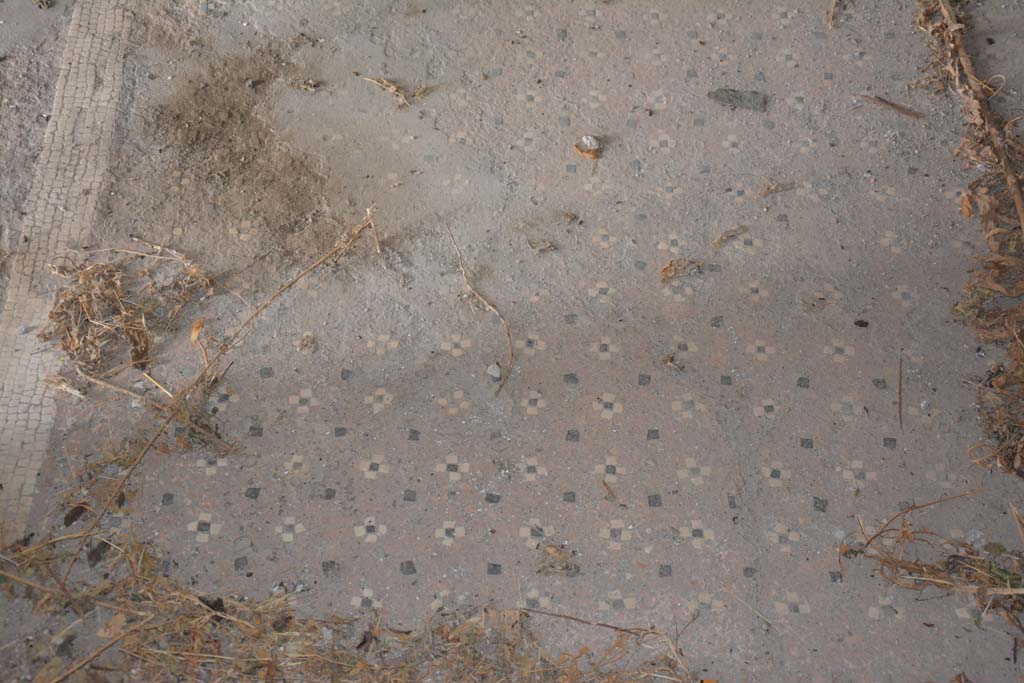 VI.11.10 Pompeii. October 2017. 
Room 39, detail of cocciopesto flooring of anteroom containing white crosses with a black centre.
A mosaic border of white tesserae separated the flooring of the anteroom from the oecus/triclinium, seen on left.
A meander pattern and a central emblema were present in the floor of the room.
Foto Annette Haug, ERC Grant 681269 DÉCOR