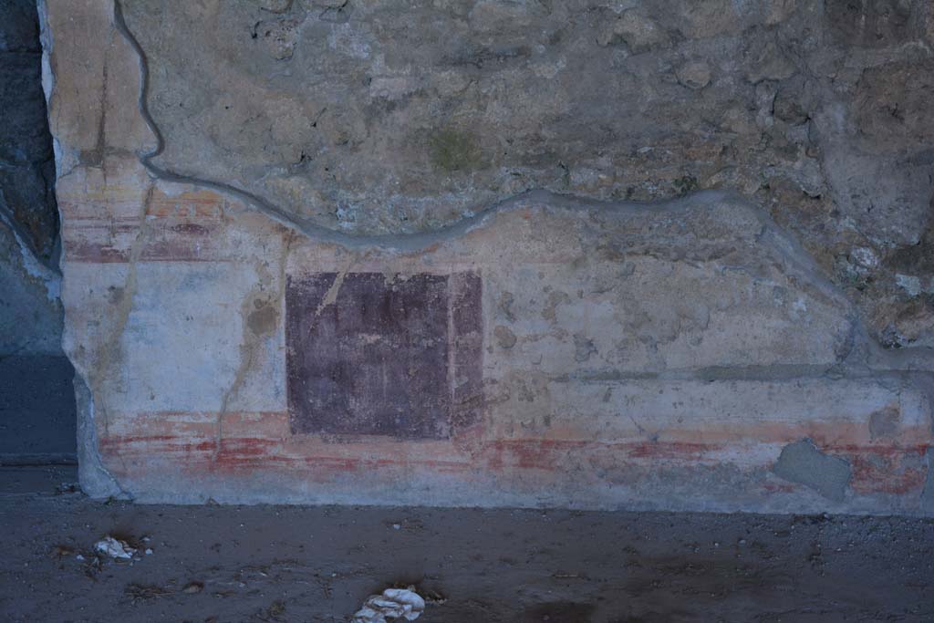 VI.11.10 Pompeii. December 2017. Room 40, detail from lower wall (zoccolo) of north wall.
Foto Annette Haug, ERC Grant 681269 DÉCOR