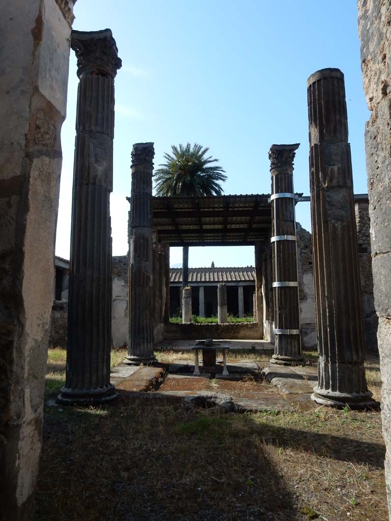 VI.11.10 Pompeii. June 2019. 
Looking north from entrance corridor towards impluvium in Tetrastyle atrium. 
Photo courtesy of Buzz Ferebee.