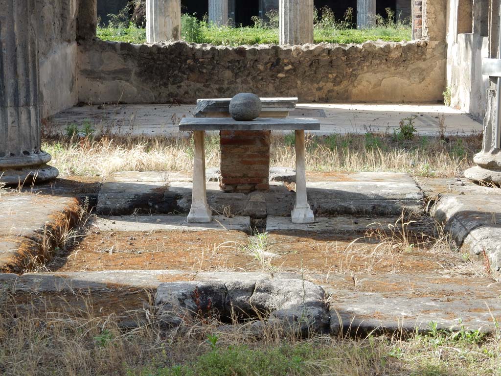 VI.11.10 Pompeii. June 2019. Looking north from entrance towards impluvium in atrium, and across to tablinum.  
Photo courtesy of Buzz Ferebee.