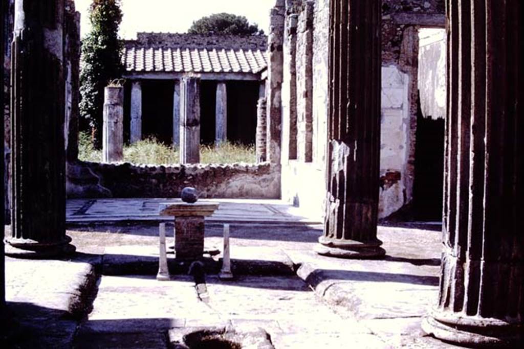 VI.11.10 Pompeii, 1978. Looking north across impluvium in atrium towards tablinum and peristyle. Photo by Stanley A. Jashemski.   
Source: The Wilhelmina and Stanley A. Jashemski archive in the University of Maryland Library, Special Collections (See collection page) and made available under the Creative Commons Attribution-Non Commercial License v.4. See Licence and use details. J78f0185