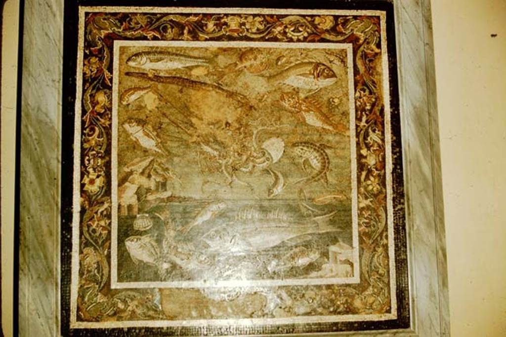 VI.12.2 Pompeii. 1957. Floor mosaic of fishes and marine life. Photo by Stanley A. Jashemski.
Source: The Wilhelmina and Stanley A. Jashemski archive in the University of Maryland Library, Special Collections (See collection page) and made available under the Creative Commons Attribution-Non Commercial License v.4. See Licence and use details.
J57f0535
Now in Naples Archaeological Museum. Inventory number 9997