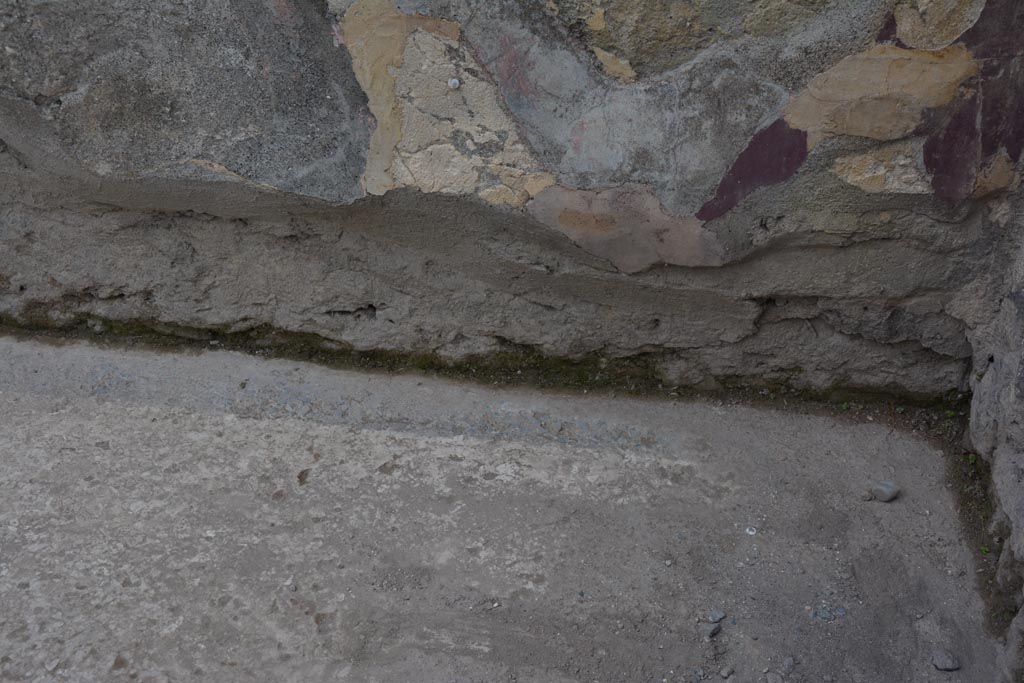 VI.12.2 Pompeii. November 2017. Room 35, detail from lower west wall. 
Foto Annette Haug, ERC Grant 681269 DÉCOR.