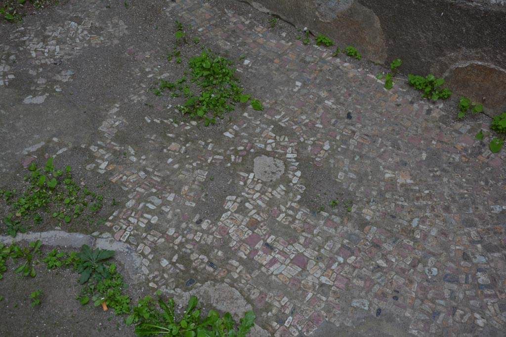 VI.12.2 Pompeii. November 2017. Room 31, flooring near west wall.
Foto Annette Haug, ERC Grant 681269 DÉCOR.