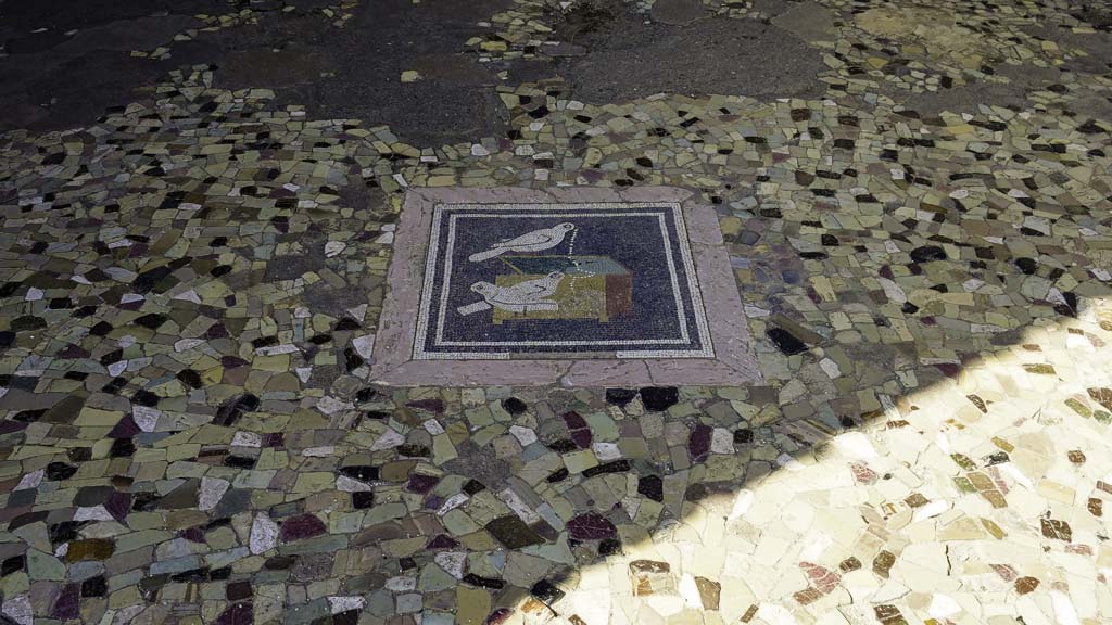 VI.12.2 Pompeii. August 2021. 
Floor of ala 29 on west side of atrium. Mosaic picture of doves pulling a necklace from a jewellery box. Photo courtesy of Robert Hanson.