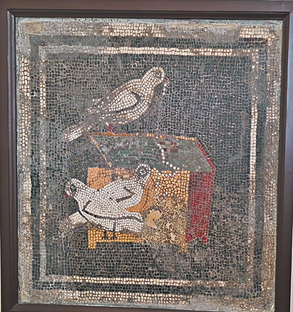 VI.12.2 Pompeii. September 2024. Original doves mosaic found in ala 29 on west side of atrium. 
Now in Naples Archaeological Museum. Inventory number s. n. This was found 1st December 1830 in ala 29.
Photo courtesy of Giuseppe Ciaramella.