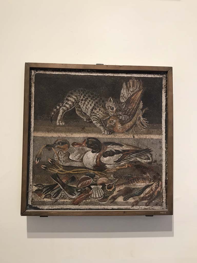 VI.12.2 Pompeii. April 2019. 
Original mosaic emblema found 1st December 1830 in ala 30 on east side of atrium. 
Above is a cat with a partridge, below ducks, fishes and shellfish.
Now in Naples Archaeological Museum. Inventory number 9993.  Photo courtesy of Rick Bauer.
See Pagano, M. and Prisciandaro, R., 2006. Studio sulle provenienze degli oggetti rinvenuti negli scavi borbonici del regno di Napoli. Naples: Nicola Longobardi. (p.144)
See Fiorelli G., 1862. Pompeianarum antiquitatum historia, Vol. 2: 1819 - 1860, Naples, p. 242.