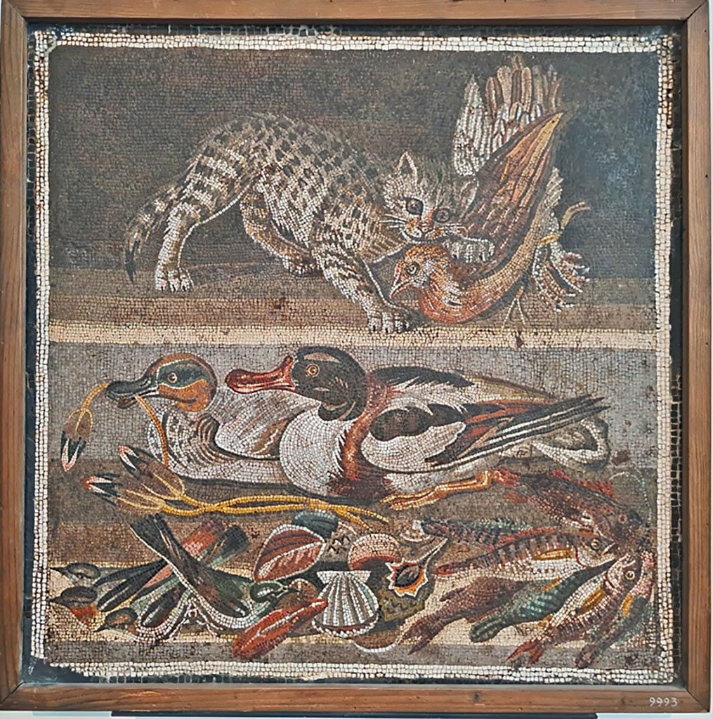VI.12.2 Pompeii. September 2024. Original mosaic emblema found 1st December 1830 in ala 30 on east side of atrium. 
Now in Naples Archaeological Museum. Inventory number 9993.  Photo courtesy of Giuseppe Ciaramella.