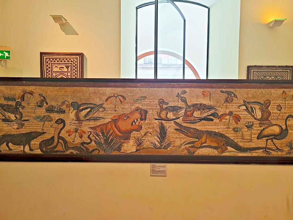 VI.12.2 Pompeii. September 2024. Mosaic of hippopotamus, crocodile, Ibis and other creatures of the Nile. 
This threshold was found at the open front of the broad exedra (37) between the columns in front of the Alexander mosaic, on 24th October 1831. 
See Mau, A., 1907, translated by Kelsey F. W. Pompeii: Its Life and Art. New York: Macmillan. (p. 293).
Now in Naples Archaeological Museum. Inventory number 9990. Photo courtesy of Giuseppe Ciaramella.
See PAH II, 250.
See Real Museo Borbonico VIII, Ta XLV (1832).