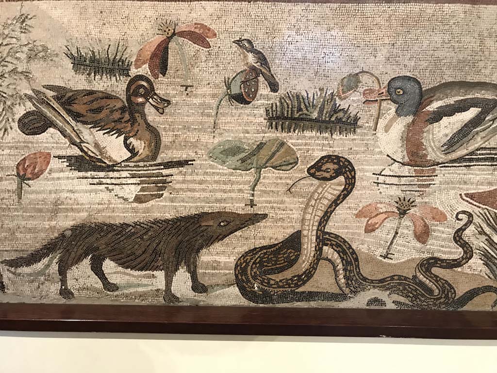 VI.12.2 Pompeii. April 2019. Detail from mosaic of hippopotamus, crocodile, Ibis and other creatures of the Nile.  
Photo courtesy of Rick Bauer.