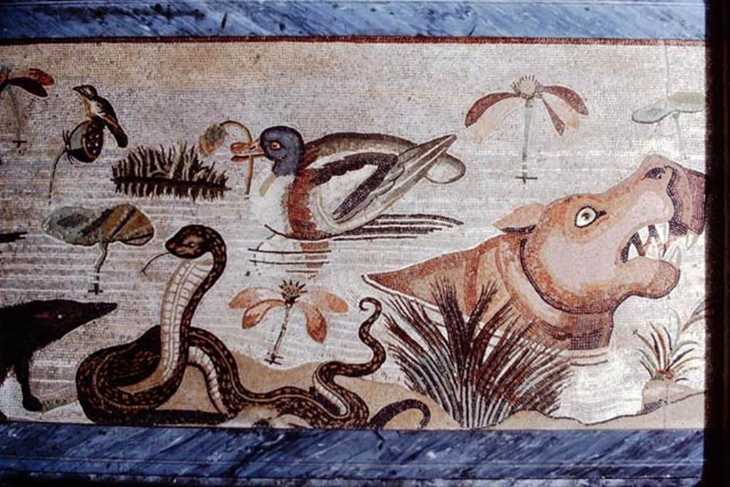 VI.12.2 Pompeii. 1968. Detail from mosaic of hippopotamus, crocodile, Ibis and other creatures of the Nile.  Photo by Stanley A. Jashemski.
Source: The Wilhelmina and Stanley A. Jashemski archive in the University of Maryland Library, Special Collections (See collection page) and made available under the Creative Commons Attribution-Non Commercial License v.4. See Licence and use details.
J68f0829