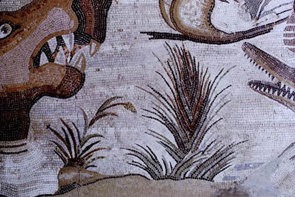 VI.12.2 Pompeii. 1968. Detail from mosaic of hippopotamus, crocodile, and plants.  Photo by Stanley A. Jashemski.
Source: The Wilhelmina and Stanley A. Jashemski archive in the University of Maryland Library, Special Collections (See collection page) and made available under the Creative Commons Attribution-Non Commercial License v.4. See Licence and use details.
J68f1030