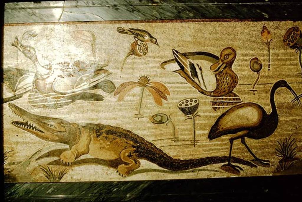 VI.12.2 Pompeii. 1957. Detail from mosaic of, crocodile, Ibis and other creatures of the Nile.  
Photo by Stanley A. Jashemski.
Source: The Wilhelmina and Stanley A. Jashemski archive in the University of Maryland Library, Special Collections (See collection page) and made available under the Creative Commons Attribution-Non Commercial License v.4. See Licence and use details.
J57f0526