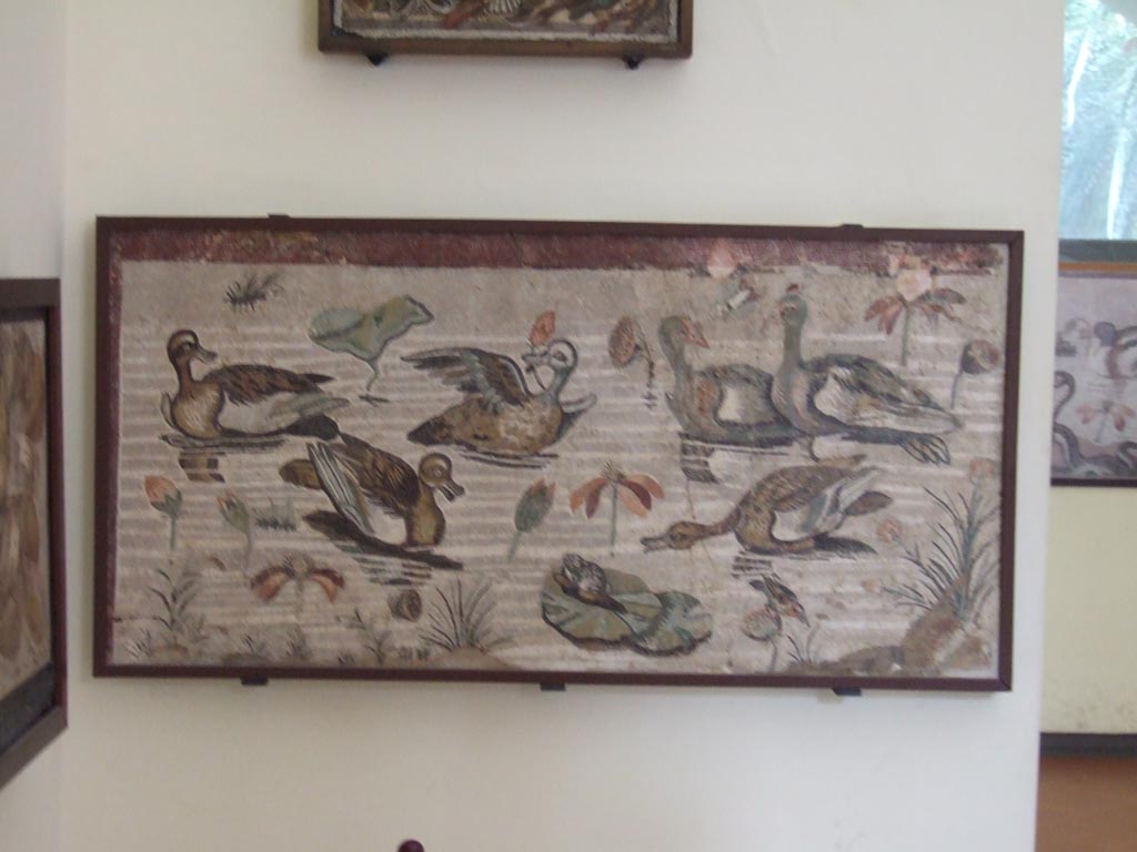 VI.12.2 Pompeii. Found in the pavement of the exedra. Mosaic of water birds. 
Now in Naples Archaeological Museum. Inventory s. n.
See Real Museo Borbonico VIII (1832), Tav. XLV.