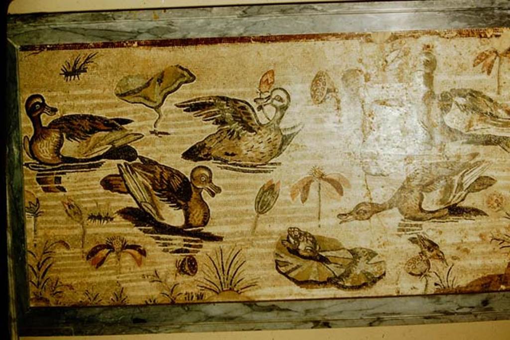 VI.12.2 Pompeii. 1957.  Detail from mosaic of water birds. Photo by Stanley A. Jashemski.
Source: The Wilhelmina and Stanley A. Jashemski archive in the University of Maryland Library, Special Collections (See collection page) and made available under the Creative Commons Attribution-Non Commercial License v.4. See Licence and use details.
J57f0529