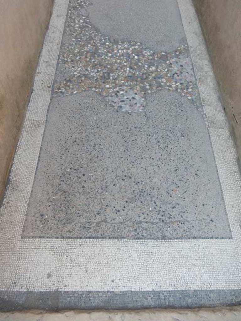 VI.12.2 Pompeii. May 2015. Mosaic floor in corridor, looking north. Photo courtesy of Buzz Ferebee.