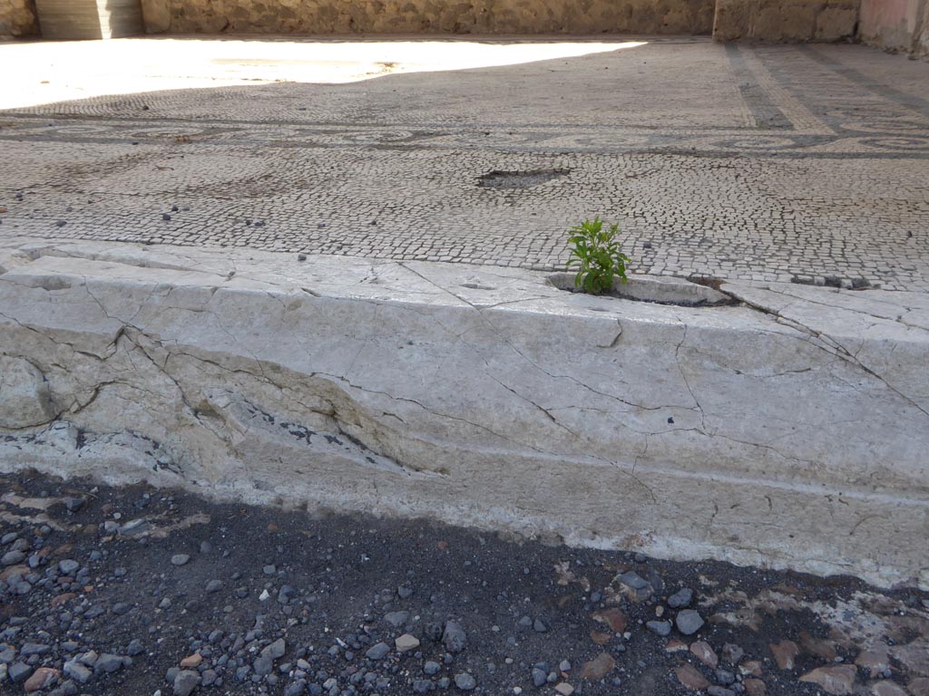 VI.12.2 Pompeii. September 2015. Detail of threshold/sill of oecus/triclinium on south portico of rear peristyle.
Foto Annette Haug, ERC Grant 681269 DÉCOR.