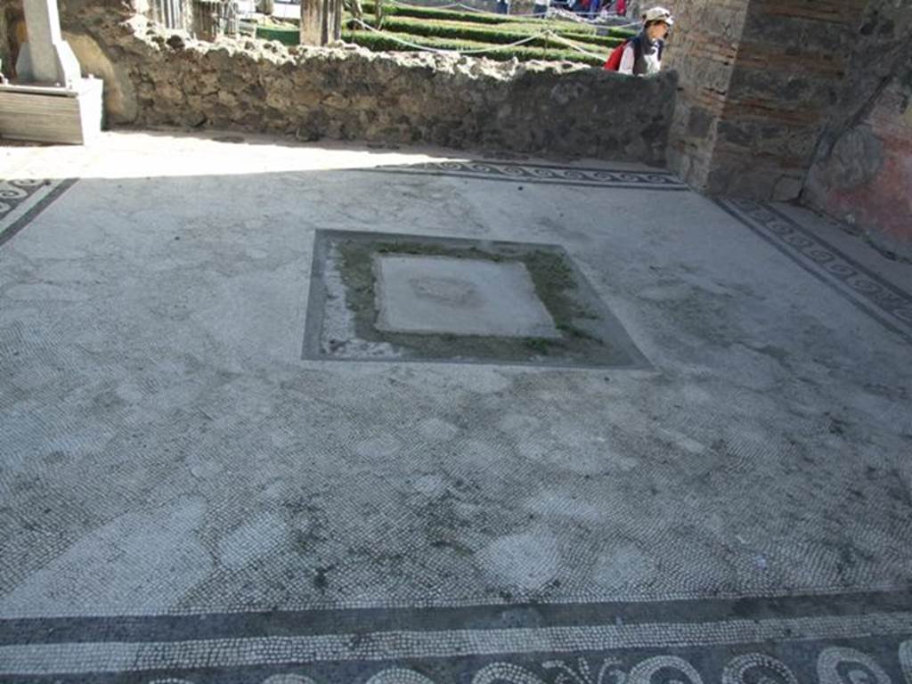 VI.12.2 Pompeii. March 2009. Triclinium mosaic floor.  This floor contained a fine mosaic in such a damaged condition that the subject – a lion standing over a prostrate tiger – could not be made out, until a duplicate was found in 1885.
See Mau, A., 1907, translated by Kelsey F. W. Pompeii: Its Life and Art. New York: Macmillan. (p.295)