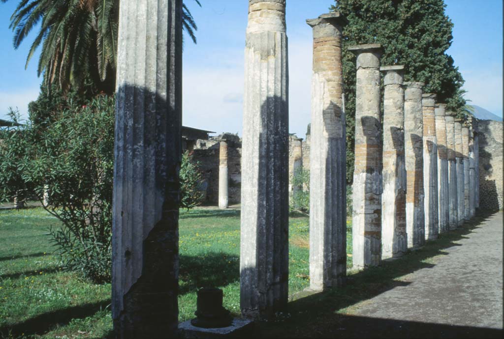 VI.12.2 Pompeii. October 1992. 
Looking north-west across rear peristyle, from east side.  Photo by Louis Méric courtesy of Jean-Jacques Méric.
