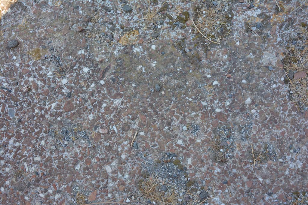VI.12.5 Pompeii. 14th July 2017. Detail of flooring from Secondary Atrium 7. 
Foto Annette Haug, ERC Grant 681269 DÉCOR.