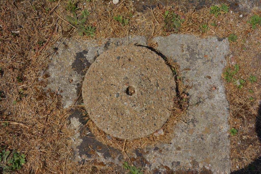 VI.12.5 Pompeii. 14th July 2017. Secondary Atrium 7, cistern-mouth on east side of impluvium.   
Foto Annette Haug, ERC Grant 681269 DÉCOR.
