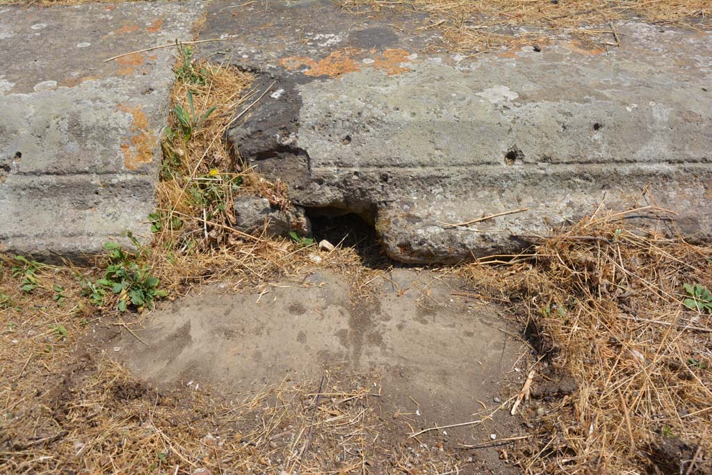 VI.12.5 Pompeii. 14th July 2017. Detail from east side of impluvium in Secondary Atrium. 
Foto Annette Haug, ERC Grant 681269 DÉCOR.