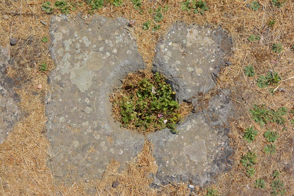 VI.12.5 Pompeii. 14th July 2017. Detail of cistern-mouth on south side of impluvium in atrium 7.   
Foto Annette Haug, ERC Grant 681269 DÉCOR.