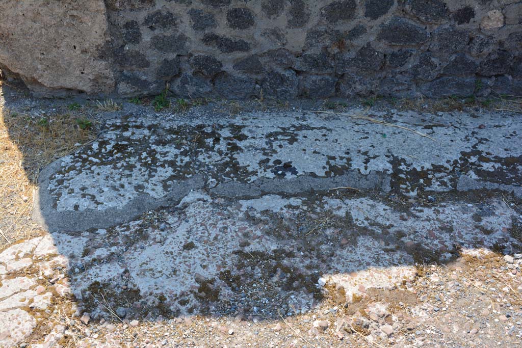VI.12.5 Pompeii. 14th July 2017. Detail of flooring near south wall in West Ala 11.
Foto Annette Haug, ERC Grant 681269 DÉCOR.