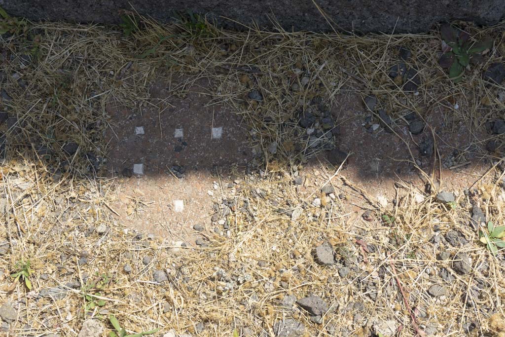 VI.12.5 Pompeii. 14th July 2017. Room 17, flooring.
Foto Annette Haug, ERC Grant 681269 DÉCOR.