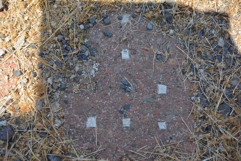 VI.12.5 Pompeii. 14th July 2017. Room 17, detail of flooring from near east wall.
Foto Annette Haug, ERC Grant 681269 DÉCOR.