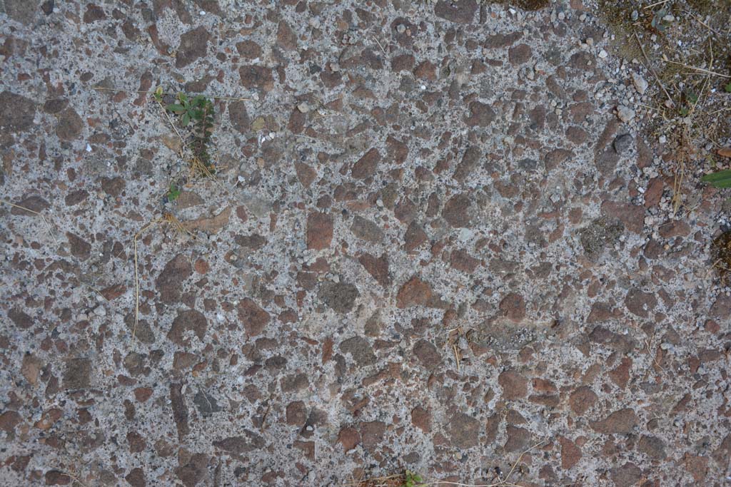 VI.12.5 Pompeii. 14th July 2017. Room 13, detail of flooring.
Foto Annette Haug, ERC Grant 681269 DÉCOR.