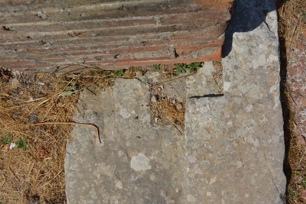 VI.12.5 Pompeii. 14th July 2017. Room 9, west end of threshold/sill.
Foto Annette Haug, ERC Grant 681269 DÉCOR.