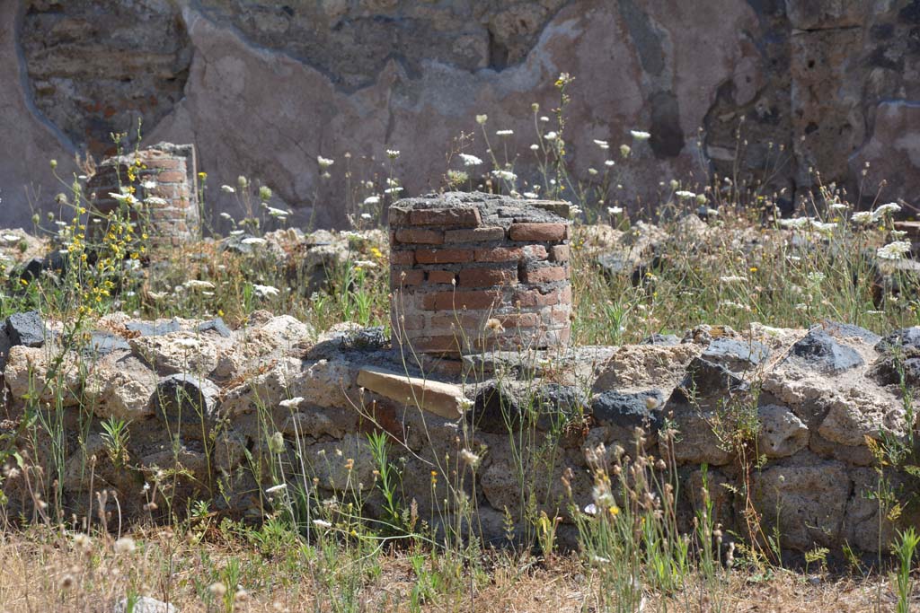 VI.13.2 Pompeii. July 2017. Detail from west side of peristyle garden.
Foto Annette Haug, ERC Grant 681269 DÉCOR.