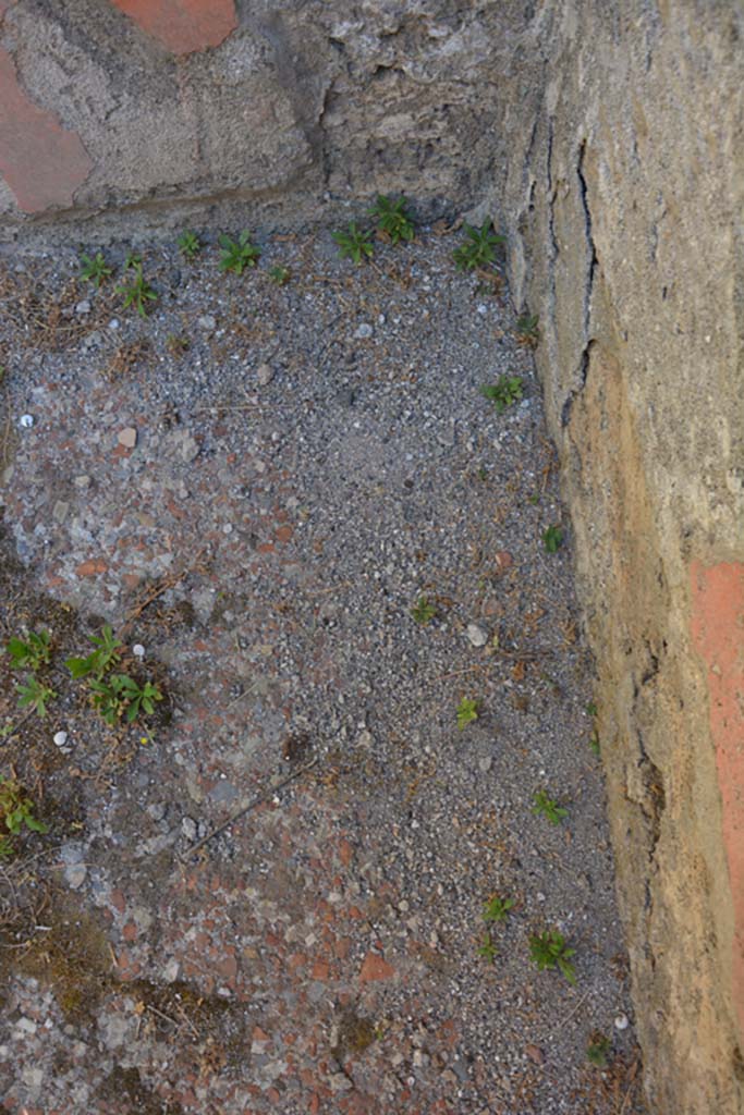 VI.13.6 Pompeii. July 2017. Flooring in cubiculum on west side of atrium.
Foto Annette Haug, ERC Grant 681269 DÉCOR.
According to PPM –
“Flooring in cocciopesto: the poor conservation conditions no longer allow you to recognize the dotted white tiles seen by Pernice.”
(p.169)