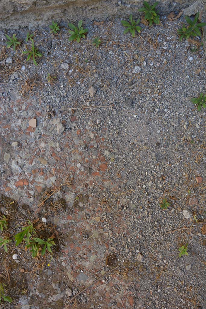 VI.13.6 Pompeii. July 2017. Detail of flooring in cubiculum.
Foto Annette Haug, ERC Grant 681269 DÉCOR.