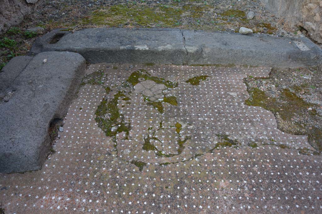 VI.13.13 Pompeii. October 2019. Flooring in vestibule.
Foto Annette Haug, ERC Grant 681269 DÉCOR.