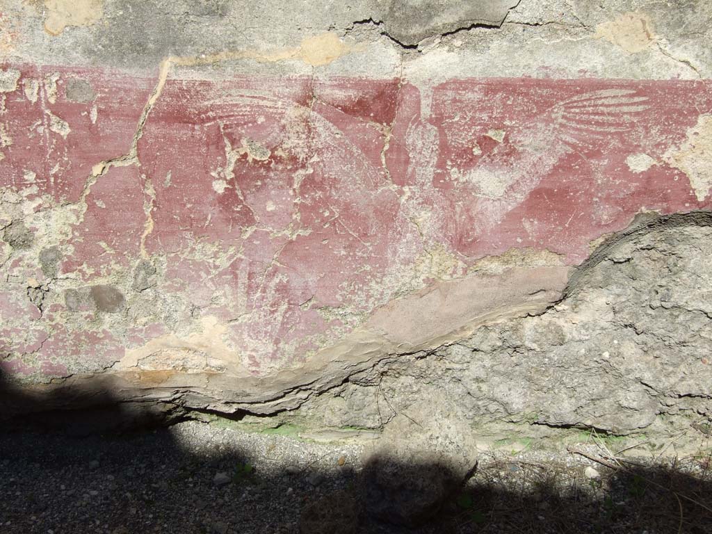VI.14.20 Pompeii. March 2009. 
Room 10, remains of painted plant decoration and bird, on zoccolo at east end of lower north wall in triclinium.