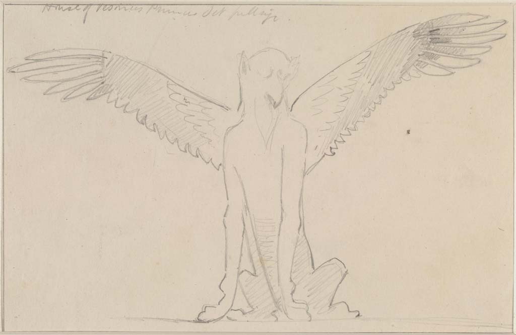 VI.14.20 Pompeii. Undated (c.1870’s) sketch/drawing by Sydney Vacher of painted bird from zoccolo/dado of triclinium 10. 
Painting by Sydney Vacher. Photo © Victoria and Albert Museum, inventory number E.4378-1910.