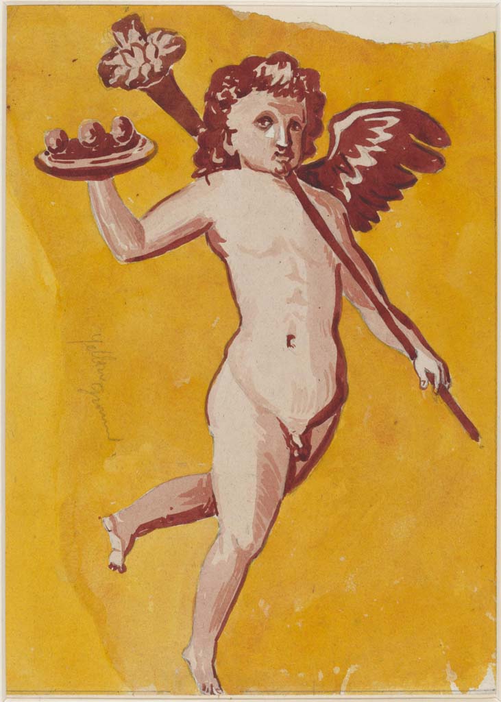 VI.14.20 Pompeii. Undated painting of cupid by Sydney Vacher. 
(Note: this may or may not have come from the same room 13, as the above one, where the walls are very faded)
Photo © Victoria and Albert Museum, inventory number E.4415-1910. 
Photo © Victoria and Albert Museum, inventory number E.4415-1910.