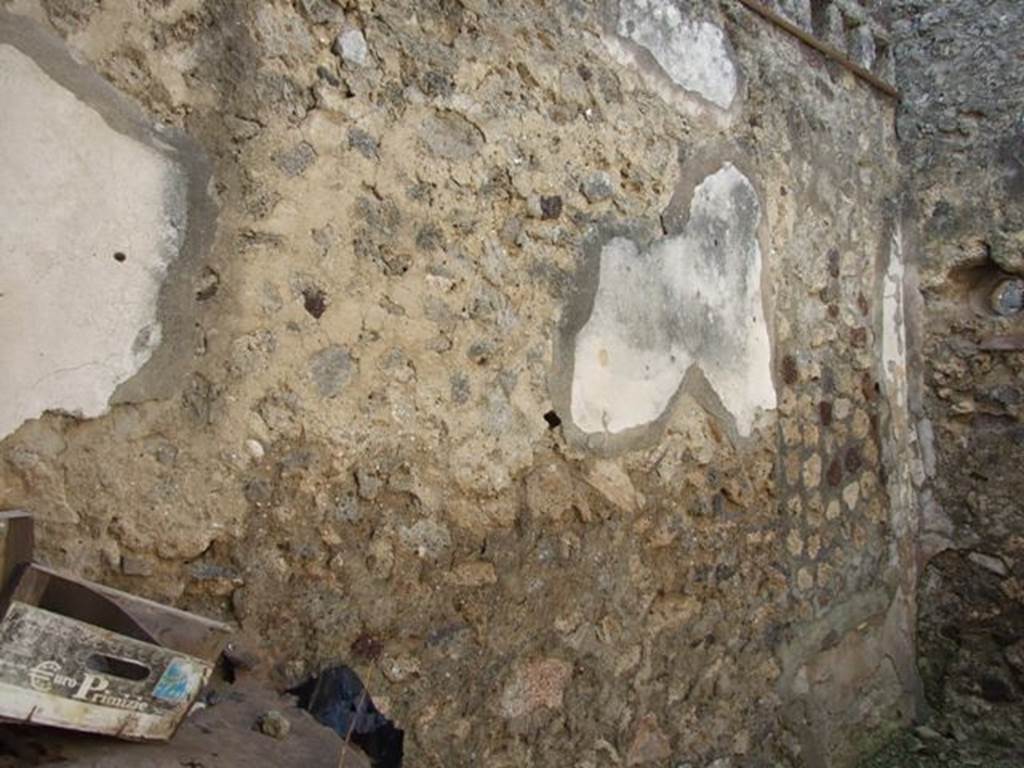 VI.14.20  Pompeii.  March 2009.  Room 14.  South wall.
