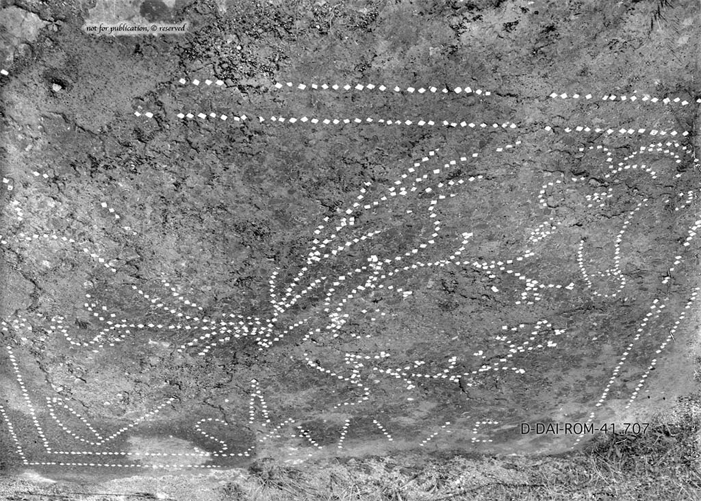 VI.14.21 Pompeii. Pre 1938. Fragment of flooring with white tesserae from room “r”.
DAIR 41.707. Photo © Deutsches Archäologisches Institut, Abteilung Rom, Arkiv. 
See Pernice, E., 1938. Pavimente und Figürliche Mosaiken: Die Hellenistische Kunst in Pompeji, Band VI. Berlin: de Gruyter, p. 80, Taf. 35,4.
According to PPM –
“The floor of cocciopesto, which at the rear of the room had a decoration outlined in white tesserae, containing a phallus, some branches, two cornucopia and the inscription “SALVE” (now preserved only in taf. 35.4 of Pernice and in Fig. 68 of the Warscher), it must have been carried out before the installation of the basins/tanks.”
See Carratelli, G. P., 1990-2003. Pompei: Pitture e Mosaici. Vol. V. Roma: Istituto della enciclopedia italiana, (p. 331).