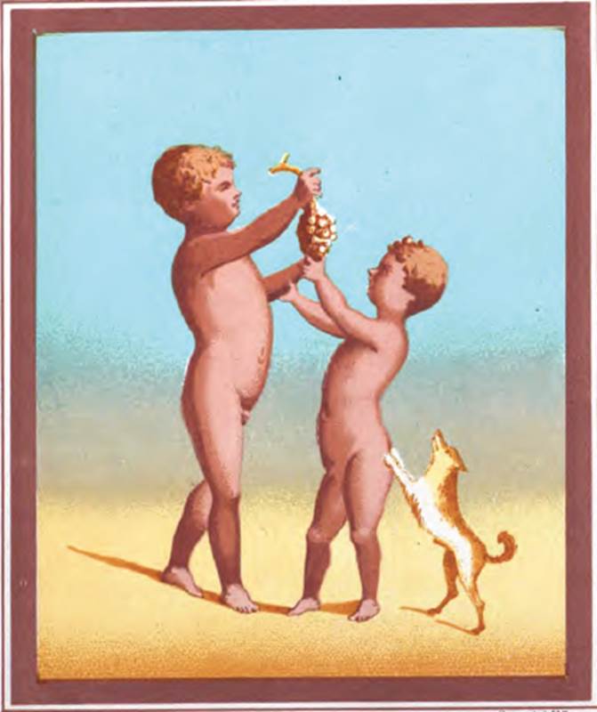 VI.14.28 Pompeii. 1878. Also found were two little boys (or cupids) playing with a puppy and a bunch of grapes, on the west wall. See Presuhn E., 1878. Pompeji: Die Neuesten Ausgrabungen  von 1874 bis 1878. Leipzig: Weigel. (IV, Plate VIII).
See Sogliano, A., 1879. Le pitture murali campane scoverte negli anni 1867-79. Napoli: (p.42, no.181 for description of painting of two cupids, or satyrs)
See BdI, 1876, (p.50), painting of cupids found on rear (west wall), size of painting 0.38 high x 0.32 wide.
There were also flying cupids with all their pleasing attributes, lyre, tambourine, thyrsus, cornucopia, vases or plates for perfumed water, together with Polyphemus receiving Galatea’s letter from cupid, on the south wall.