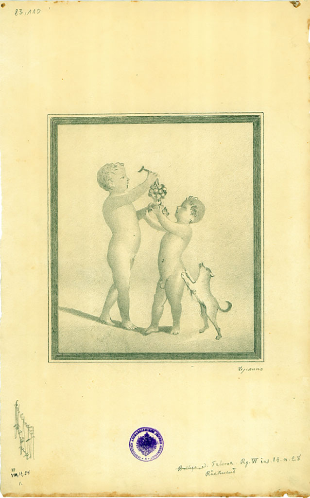 VI.14.28 Pompeii. Copy of painting of two little boys (or cupids) playing with a puppy and a bunch of grapes, on the west wall.
DAIR 83.100. Photo © Deutsches Archäologisches Institut, Abteilung Rom, Arkiv.