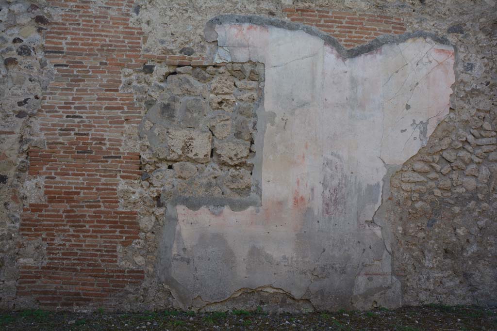 VI.14.28.33 Pompeii. October 2019. South wall of atrium.
Foto Annette Haug, ERC Grant 681269 DÉCOR.