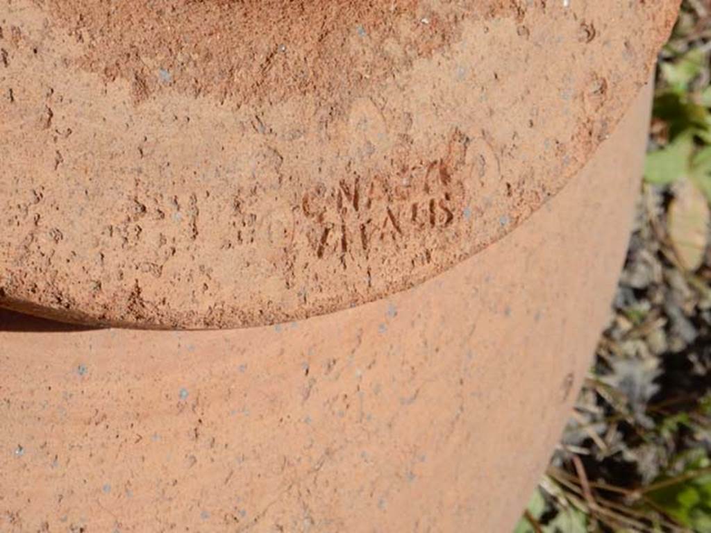 VI.14.35 Pompeii. May 2017. Detail of second embossed stamp on other side of rim.
Photo courtesy of Buzz Ferebee.