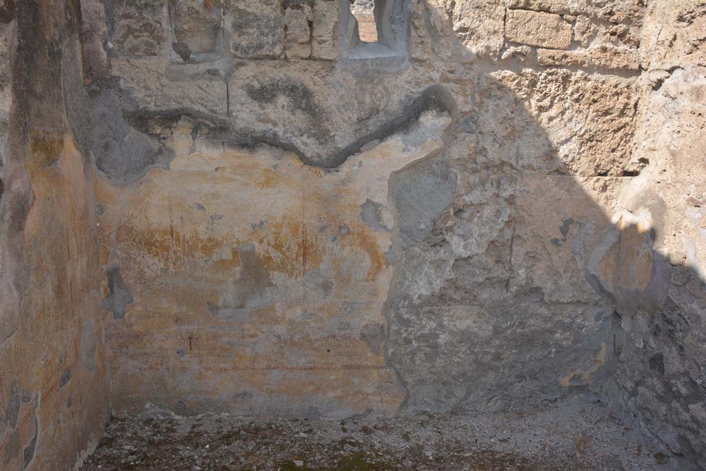 VI.14.40 Pompeii. September 2019. Detail from lower west wall.
Foto Annette Haug, ERC Grant 681269 DÉCOR
